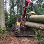 Tannenernte im Privatwald in Staufen