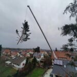 Spezialbaumfällung mit Autokran in Ballrechten-Dottingen
