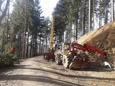 Seilkranhieb Im Bugginger Wald am Sattelplatzweg Seilkranhieb Im Bugginger Wald am Sattelplatzweg