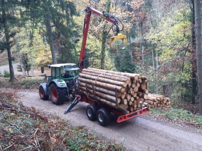 Transport von Kurzholz bis 6m Transport von Kurzholz bis 6m
