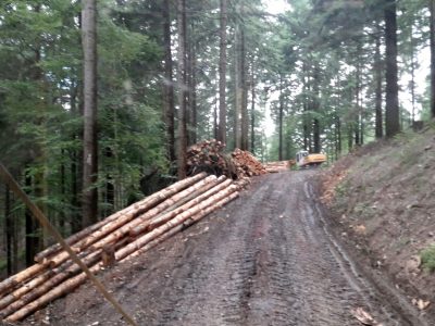 Holzaufarbeitung mit Liebherr Bagger und Woody 50 Agregat Holzaufarbeitung mit Liebherr Bagger und Woody 50 Agregat