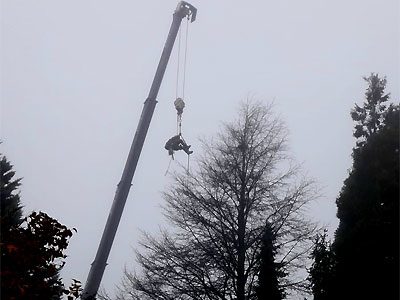 Spezialbaumfällung mit Autokran Spezialbaumfällung mit Autokran